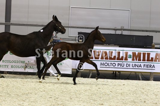 PAN CARRE_MILANO_2010_SS3_8371.jpg